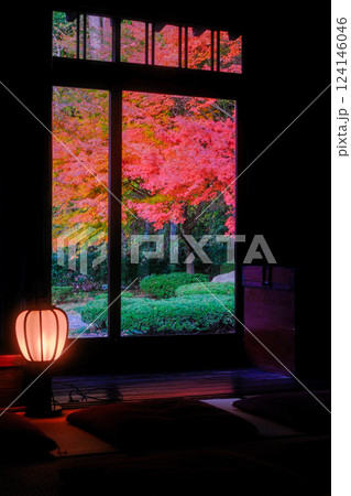 和室から眺める紅葉 和室から眺める紅葉 124146046