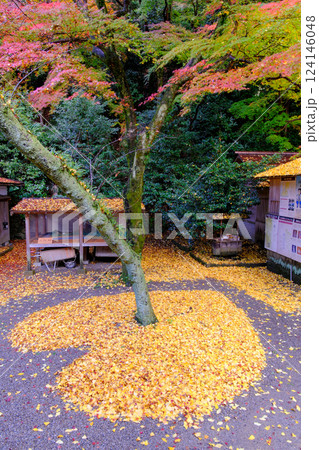 紅葉と古い建物 124146048