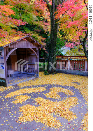 紅葉と古い建物 124146049
