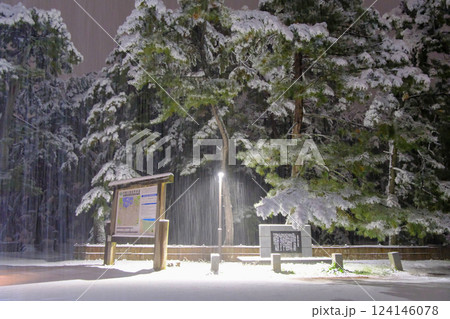 檄冬の松原 124146078