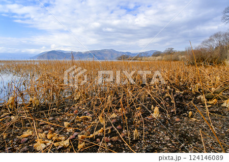 静かな湖畔 124146089