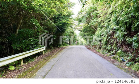 沖縄県八重山諸島西表島の県道215号の風景 124146393