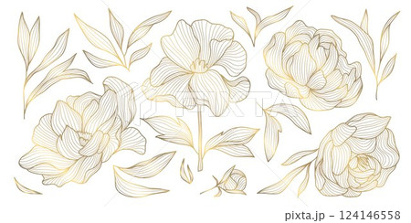 Vector set of gold line japanese, chinese flowers illustrations. Peonies vintage elegant art, wedding ornament, asian botanical graphic. Vector set of gold line japanese, chinese flowers illustrations. Peonies vintage elegant art, wedding ornament, asian botanical graphic. 124146558