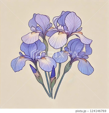 シンプルで美しい花菖蒲 124146769
