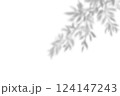 Shadow of leaf overlay on white texture background. Use for decorative product presentation. 124147243