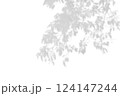 Shadow of leaf overlay on white texture background. Use for decorative product presentation. 124147244