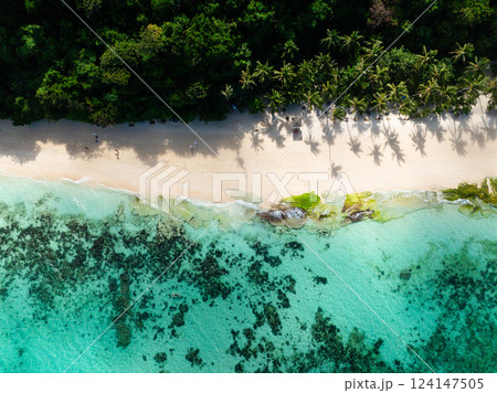 Flying over coconut trees and white sand with ocean waves in Puka Shell Beach. Boracay, Philippines. Flying over coconut trees and white sand with ocean waves in Puka Shell Beach. Boracay, Philippines. 124147505