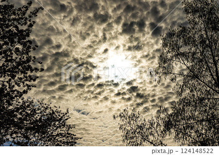 人間の恐怖心理を描写したような空と雲 人間の恐怖心理を描写したような空と雲 124148522