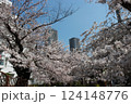 桜と高層マンション　武蔵小杉 124148776