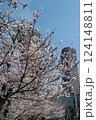 桜と高層マンション　武蔵小杉 124148811