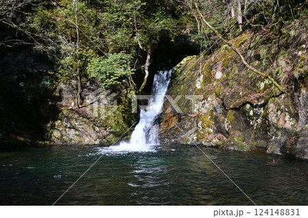 紅葉滝 紅葉滝 124148831