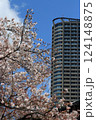桜と高層マンション　武蔵小杉 124148875
