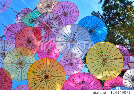 五泉八幡宮　アンブレラスカイ（新潟県） 124149071