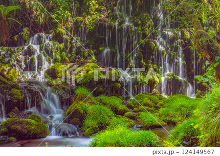 鳥海の清水カーテン 124149567