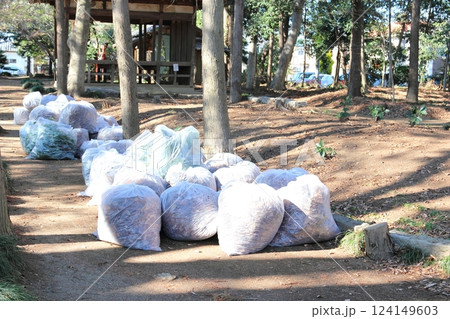 草むしり作業で落ち葉を入れた袋の山 124149603