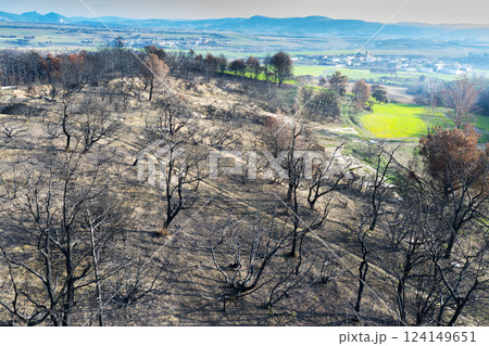 Wildfire devastating trees on a hillside overlooking legarda, navarre, spain Wildfire devastating trees on a hillside overlooking legarda, navarre, spain 124149651