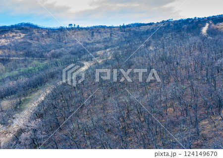 Wildfire devastating forest in legarda, navarre, spain, causing environmental damage Wildfire devastating forest in legarda, navarre, spain, causing environmental damage 124149670