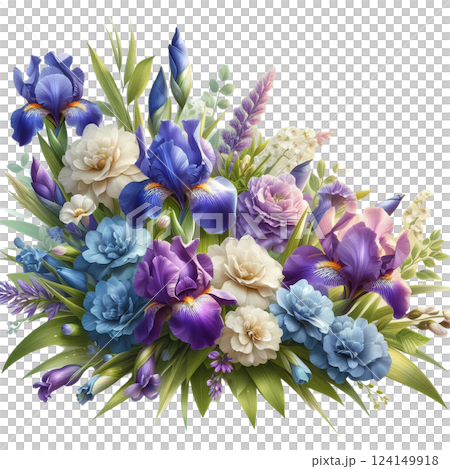 柔らかな色合いの美しい花菖蒲 124149918