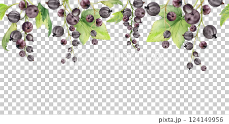 Currant gooseberry with green leaves on branch, hand drawn in watercolor, ripe garden berry juneberry casseille jostaberry cluster group. Isolated seamless banner border for craft menu, farmers market Currant gooseberry with green leaves on branch, hand drawn in watercolor, ripe garden berry juneberry casseille jostaberry cluster group. Isolated seamless banner border for craft menu, farmers market 124149956