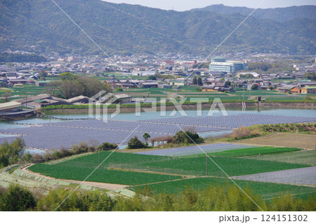 兵庫県南あわじ市　大日ダムから正木池周辺を望む 124151302