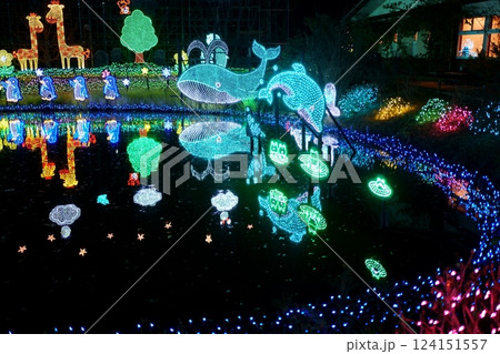 あしかがフラワーパーク　クリスマスイルミネーション 124151557