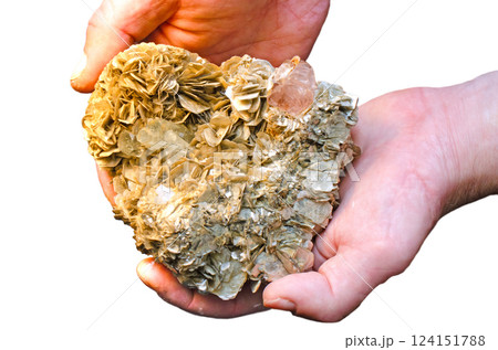 Woman hands holding yellow mineral siderite crystal cluster isolated on a white background Woman hands holding yellow mineral siderite crystal cluster isolated on a white background 124151788