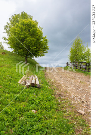 countryside mountain landscape in spring. green nature with cloudy sky. beautiful view with fence along the path through hill in the rain for tourism. rural outdoor adventure 124152317