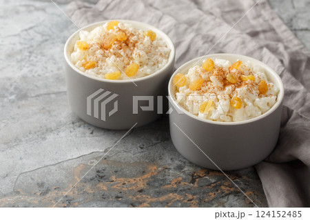 Delicate sweet rice pudding with cinnamon and golden raisins close-up in ramekin. Horizontal 124152485