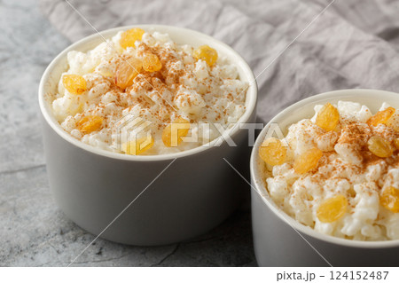 Classic Milk Rice Pudding with Cinnamon and Golden Raisins on Top Close-up in Ramekin. Horizontal Classic Milk Rice Pudding with Cinnamon and Golden Raisins on Top Close-up in Ramekin. Horizontal 124152487