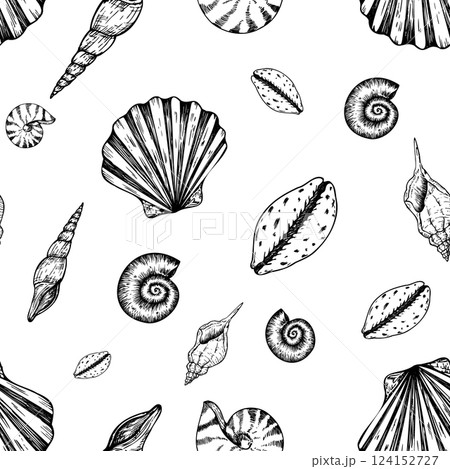 Seamless pattern with vector beautiful shells. Hand painted line seashell. Graphic clip art isolated on background. Underwater illustration. For designers, invitations, decoration, postcards, wrapping 124152727