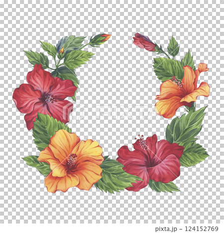 Watercolor hibiscus floral wreath with red and orange flowers. Hand-painted illustration of rosa sinensis 124152769