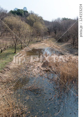 Seoul Forest large public park in Seongdong District in Seoul, capital of South Korea 124153254