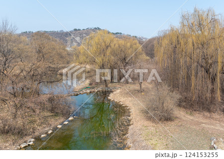 Seoul Forest large public park in Seongdong District in Seoul, capital of South Korea 124153255
