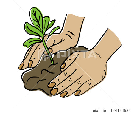 Hands gently planting a small green seedling Hands gently planting a small green seedling 124153685