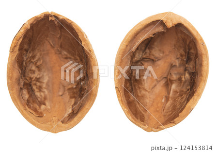 Walnut nutshell on white 124153814