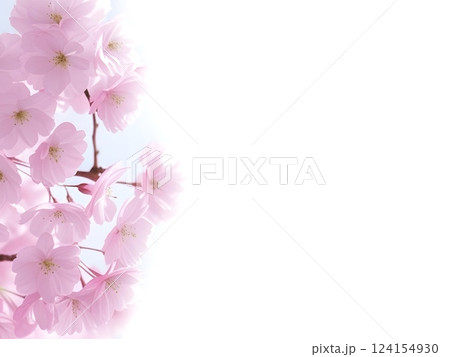 桜 D-2 124154930