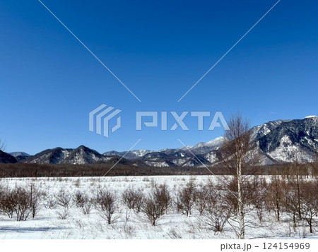 雪の積もる冬の戦場ヶ原_栃木県 124154969