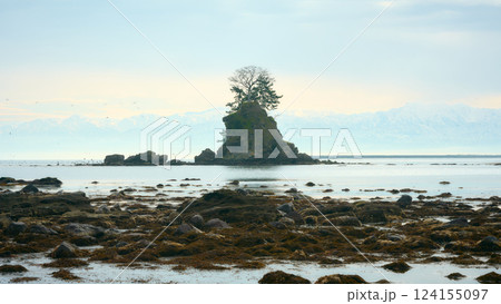 雨晴海岸 124155097