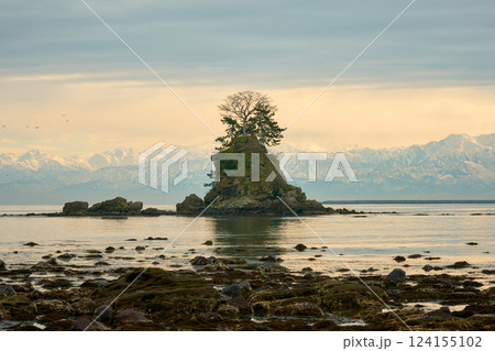 雨晴海岸 雨晴海岸 124155102