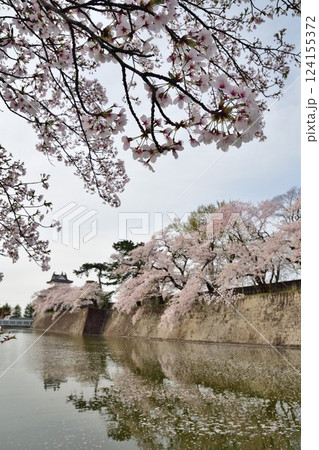 春の新発田城と桜（新潟県） 124155372