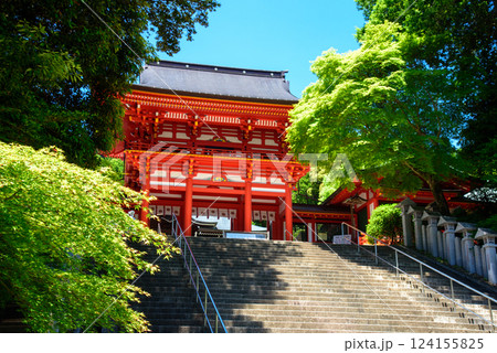 滋賀大津 近江神宮の楼門 滋賀大津 近江神宮の楼門 124155825