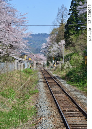 咲花駅の桜（新潟県） 124156046