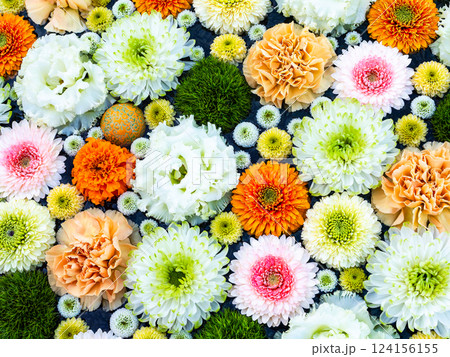1月の季節の花に彩られた美しい花手水 124156155