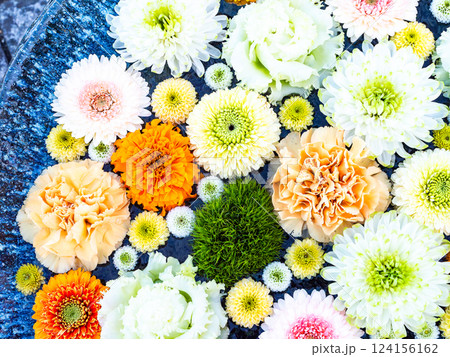 1月の季節の花に彩られた美しい花手水 1月の季節の花に彩られた美しい花手水 124156162