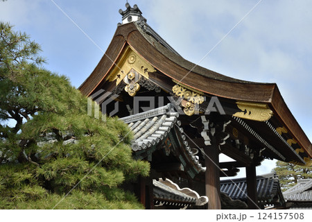 京都御所　宜秋門と松(京都市上京区) 124157508