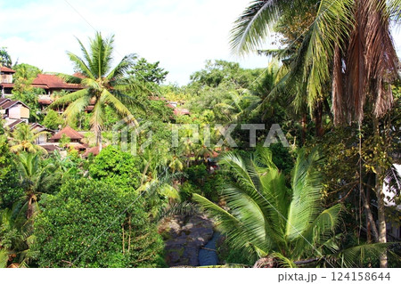 ウブド　バリ島、インドネシア 124158644
