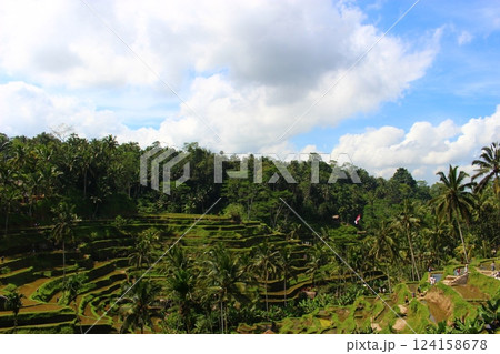 テガララン　ウブド　バリ島、インドネシア 124158678