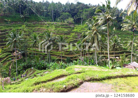テガララン　ウブド　バリ島、インドネシア 124158680