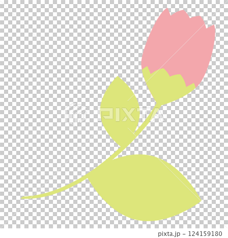 イラスト素材　桜の蕾　手描き　ピンク 124159180