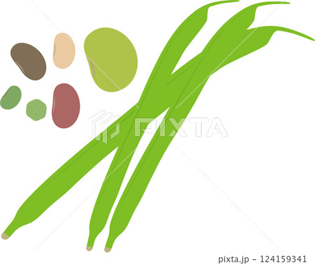 色々な豆のイラストセット 124159341